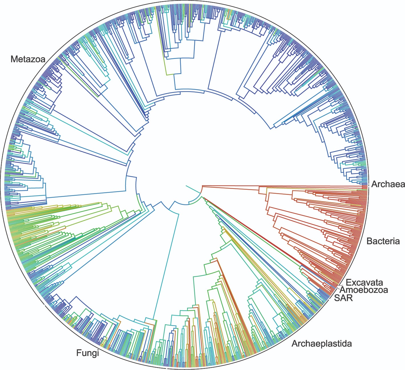 Circular family tree of Earth's lifeforms